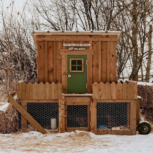 Daisy - 3' x 6' DIY Backyard Chicken Coop Building Guide