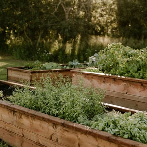 Sage - Raised Garden Bed Building Guide