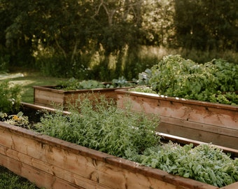 Sage - Raised Garden Bed Building Guide