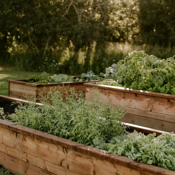 Sage - Raised Garden Bed Building Guide