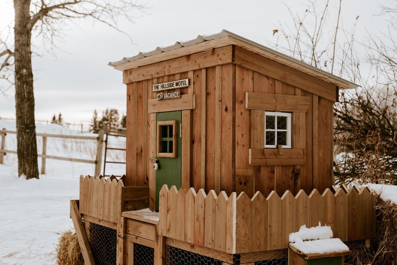 Daisy 3' X 6' DIY Backyard Chicken Coop Building Etsy