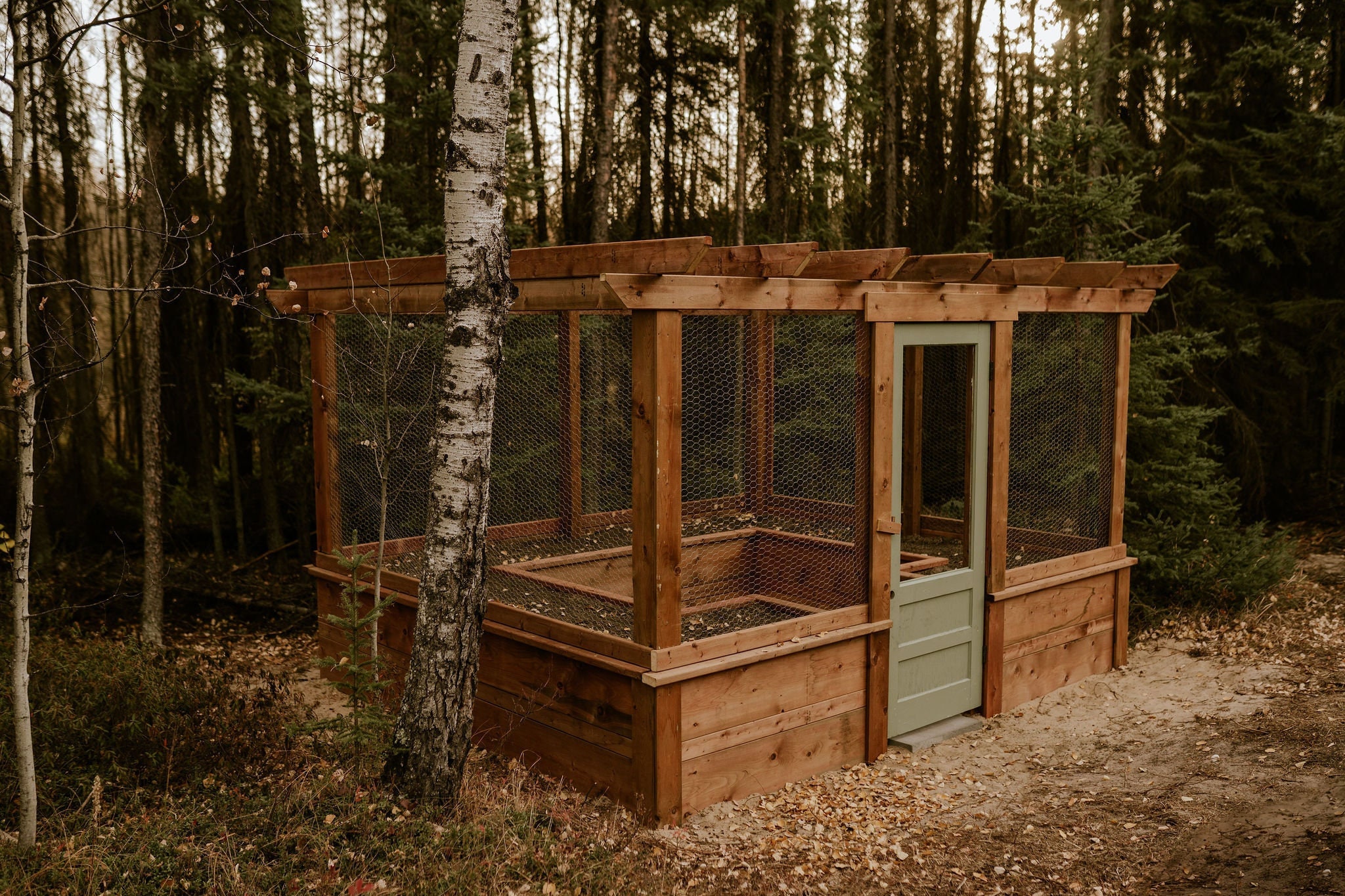 Daffodil - 10' X 12' Enclosed Raised Garden DIY Building Guide