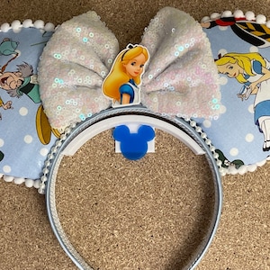 Decorated Mickey Ear Wall Displays Choose any color scheme