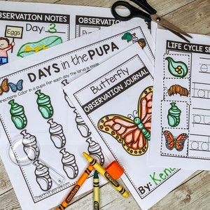 Preschool Bug Activities | Etsy