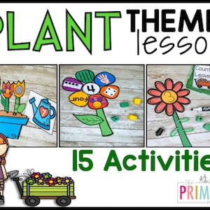 Plant Activities for Preschool