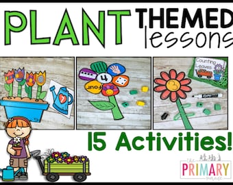 Plant Activities for Preschool