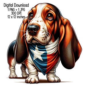 Könnte beinhalten: Ein brauner und weißer Basset-Hund, der ein blaues, weißes und rotes Bandana mit einem weißen Stern in der Mitte trägt. Das Bandana ist um den Hals des Hundes gebunden.