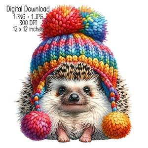 Hérisson mignon en bonnet de laine Illustration de dessins et modèles de sublimation à usage commercial coloré en téléchargement numérique PNG, JPG