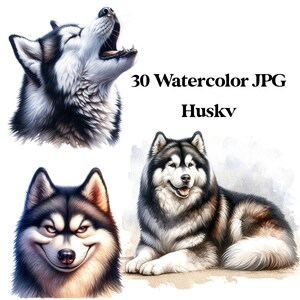 30 JPG Husky Acuarela Digital Descargar Uso Comercial divertida tarjeta de perro Husky haciendo ilustración de arte imprimible