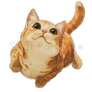 7 PNG Cute Ginger Cat Digital Download Transparent adorable humorous cat Cartoonish  Clipart illustration Commercial use card making