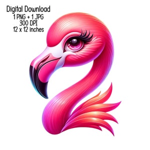 2 Adorable Pink Flamingo Bird Illustration - Clipart Commercial Use, Sublimation Design, PNG, JPG Digital Download