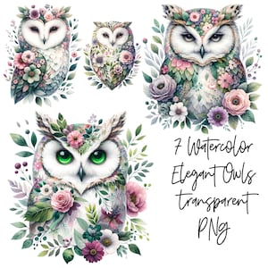 7 PNG élégant élégant hibou gracieux Transparent aquarelle Clipart téléchargement numérique tout usage commercial, hibou floral carte faisant illustration art imprimable