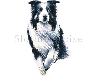 17 PNG ボーダーコリー犬水彩透明クリップアートデジタルダウンロード