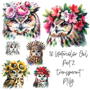 10 PNG Cute Owl in flowers part 2 Transparent Watercolor Clipart Digital Download Komercyjne wykorzystanie, tworzenie kartek, ilustracja do druku