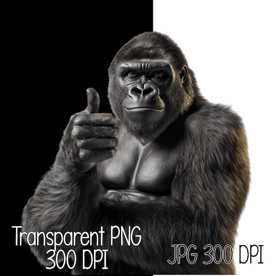 西ローランドゴリラさま専用　アート　額付き 西ローランドゴリラさま専用 アート 額付き 西ローランドゴリラさま