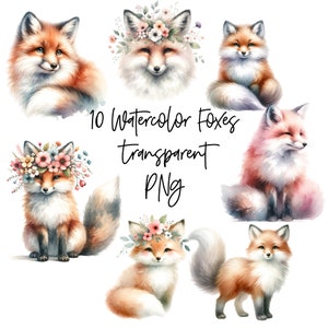 10 Fuchs PNGs Transparente Aquarell Clipart Digital Download Kommerzielle Nutzung, niedliche Tiere, hochwertige Karte machen Illustration