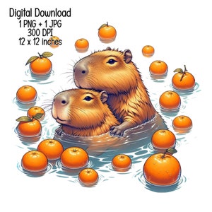 Cute humorous Capybaras Digital download cute capybara illustration Clipart Commercial Use Sublimation designs transparent PNG, JPG