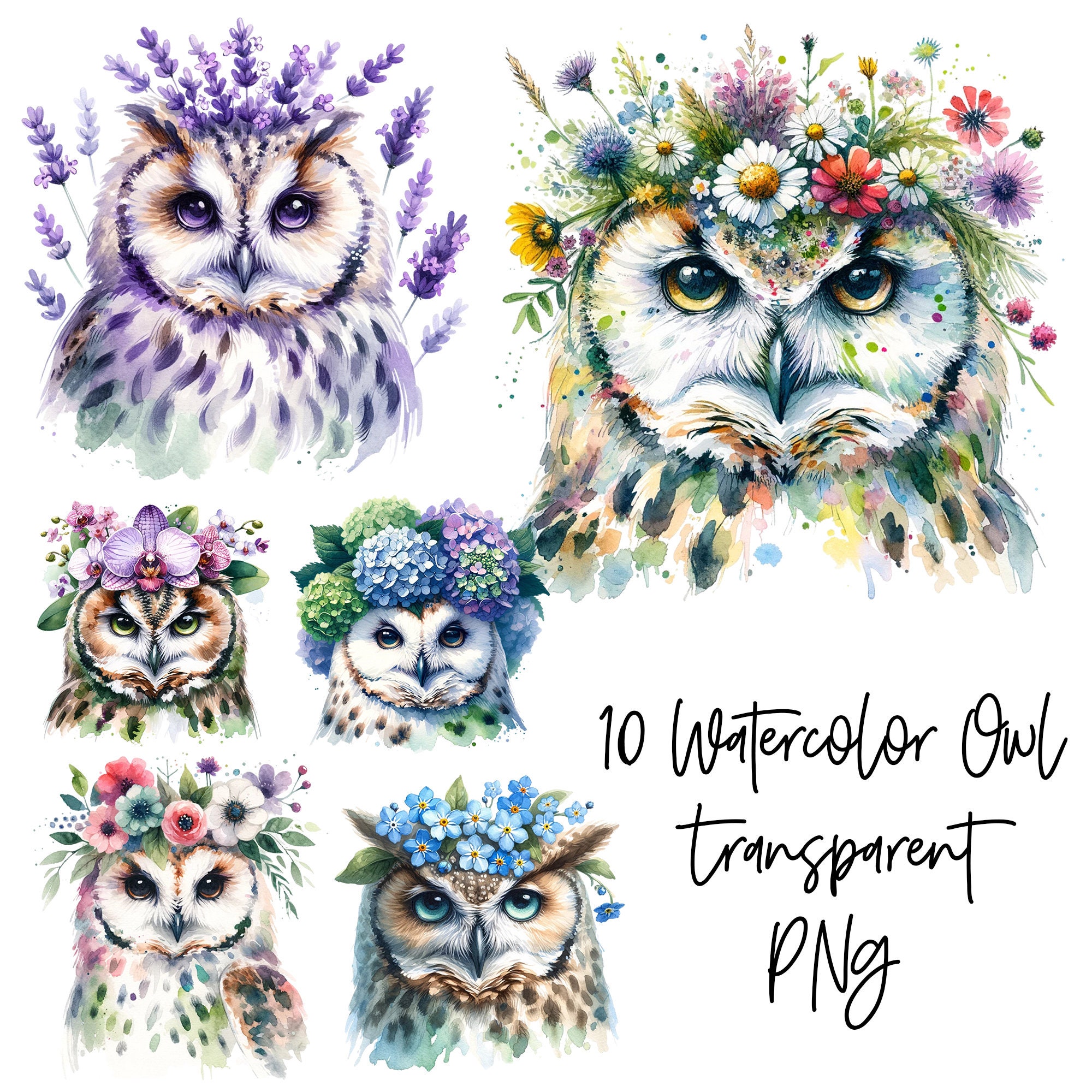 10 PNG Cute Owl in flowers Transparent Watercolor Clipart Digital Download Commercial Use, floral ow