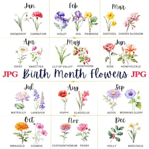 26 JPG naissance mois fleurs aquarelle Clipart téléchargement numérique tout usage commercial, fabrication de cartes de haute qualité illustration art imprimable