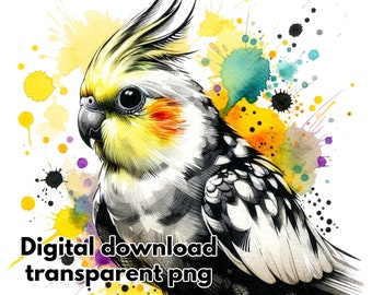 PNG Cockatiel Color Splash Download digitale Uso commerciale disegno acquerello trasparente per maglietta, felpa, tazza, mamma Cockatiel