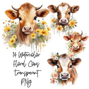 14 niedliche Kühe PNGs transparente Aquarell Clipart Digital Download Kommerzielle Nutzung, floral Kuh, hochwertige Karte machen Illustration