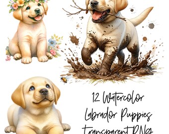 軽量 「ケイナイン キャンプ」犬と風景のアートフレーム　ラブラドール 12 ラブラドール子犬 PNG 透明水彩クリップアート デジタル