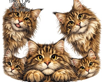 Funny Maine Coon PNG - Peeking Cat Sublimation Design - Fluffy Longhair Cat Head Clipart - Digital Download - Cat Lover Gift