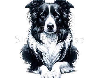 17 PNG ボーダーコリー犬水彩透明クリップアートデジタルダウンロード
