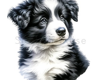 17 PNG ボーダーコリー犬水彩透明クリップアートデジタルダウンロード