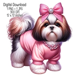 Cute Shih tzu Digital download adorable dog illustration Clipart Commercial Use Sublimation designs transparent PNG, JPG dog breeds