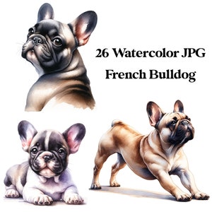 26 JPG Franse Bulldog aquarel digitale download commercieel gebruik grappige Franse bull dog kaart maken van afdrukbare kunst illustratie
