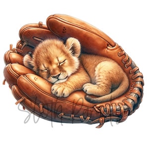 10 JPG Baseball Tiere Aquarell Clipart Digital Download kommerzielle Nutzung, hochwertige Karte machen Illustration druckbare Kunst