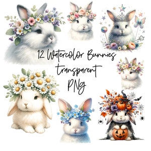 12 lapins PNG Transparent aquarelle Clipart téléchargement numérique tout usage commercial, lapin de Pâques, illustration de fabrication de cartes de haute qualité