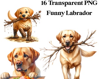 16 PNG Funny Labrador Watercolor Transparent Clipart Digital Download Commercial Use, Labrador dog card making illustration