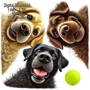 Drôle de chien labrador furtif PNG - Clipart de chiens de dessin animé mignon, art mural chiot, téléchargement numérique de chien, sublimation pour les amoureux des animaux de compagnie et cadeaux
