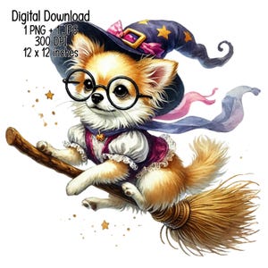Magical Chihuahua on a Broomstick - Watercolor Clipart Illustration, Halloween Theme, Digital Download, JPG, Transparent PNG