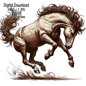 Wild Mustang Horse PNG | Western Horse Digital Download | Vintage Equine Clipart for Sublimation & Stickers, Wall art