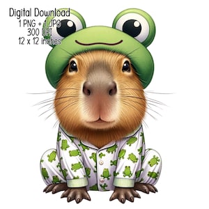 Serre-tête grenouille Capybara en téléchargement numérique illustration CAPA en sweat-shirt grenouille, cliparts à usage commercial, dessins par sublimation PNG, JPG transparents