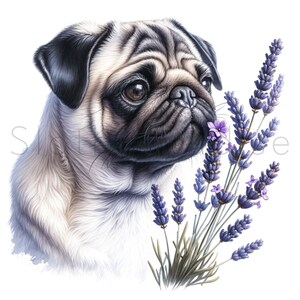 17 JPG Pug Dog con fiori Acquerello Clipart Digital Download Uso commerciale, creazione di cartoline illustrazione arte stampabile