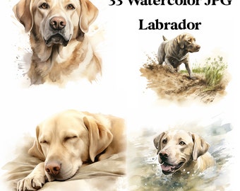 33 JPG Labrador Aquarell Digital Download Kommerzielle Nutzung lustiger Labrador Hund Karte machen druckbare Kunst Illustration
