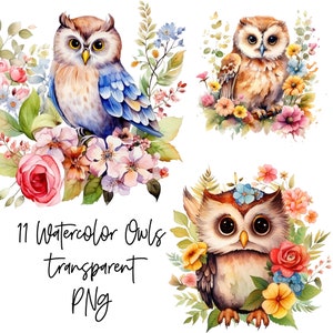 11 PNG 花の中のフクロウ 透明水彩クリップアート デジタルダウンロード 商用利用、花のフクロウ、高品質のカード作成イラスト