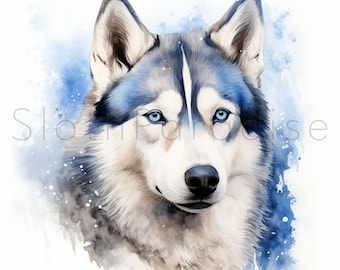 13 JPG Siberian Husky Dog Watercolor Clipart Digital Download Commercial Use, winter husky card making illustration printable art