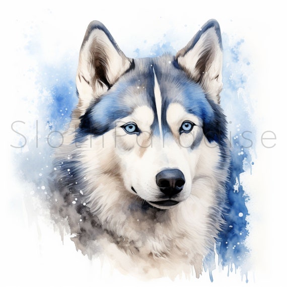 13 JPG シベリアン ハスキー犬水彩クリップアート デジタル