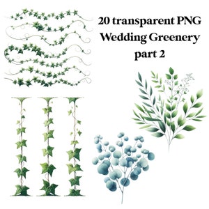 10 PNG kleine zarte Hochzeit Grünteil 2 Transparent Clipart Digital Download Kommerzielle Nutzung Karte machen Illustration