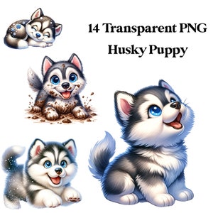 14 PNG Husky Puppy Aquarelle Transparent Clipart Digital Download Utilisation commerciale, carte de chien chiot faisant illustration