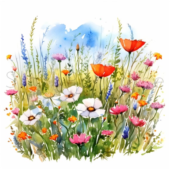 14 JPG 花畑の風景 水彩画 クリップアート デジタルダウンロード 商用
