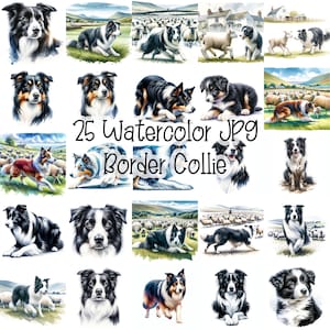 25 JPG Border Collie dog Watercolor Digital Download Commercial Use card making printable art illustration