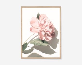 Peony Digital Print, Peony Print, Pink Wall Art, DIY WALL ART, Flower Print, Flowers Wall Art, Pink Peony, Decor, Pastel, Floral Decor