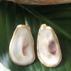 Oyster Shell Earrings - post or dangle