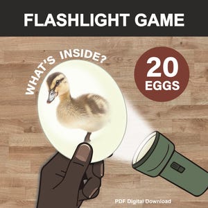 Puede incluir: Un juego educativo digital titulado "Flashlight Game". La imagen muestra un patito dentro de un círculo con el texto "What's Inside?" y una linterna que lo ilumina. También hay un círculo con "20 huevos".